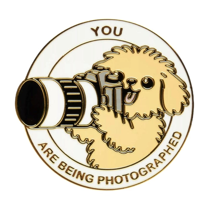 You Are Being Photographed Dog Pin