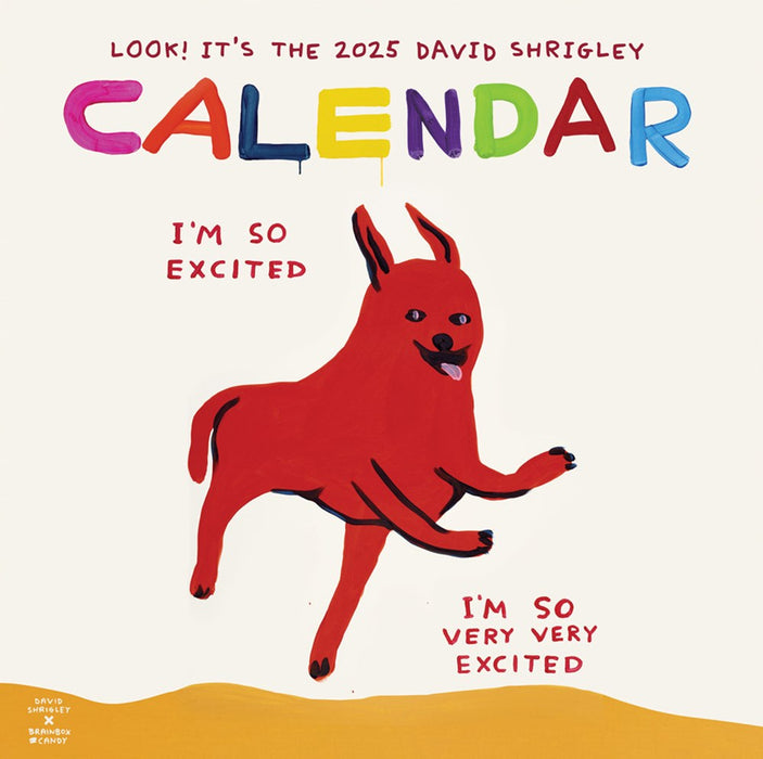 David Shrigley 2025 Calender