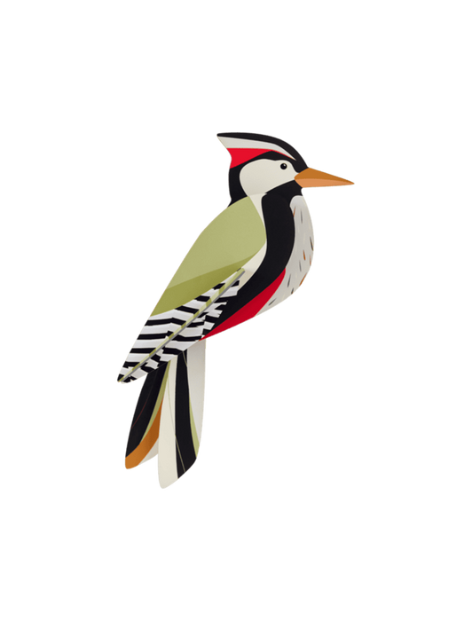 Woodpecker Wall Art