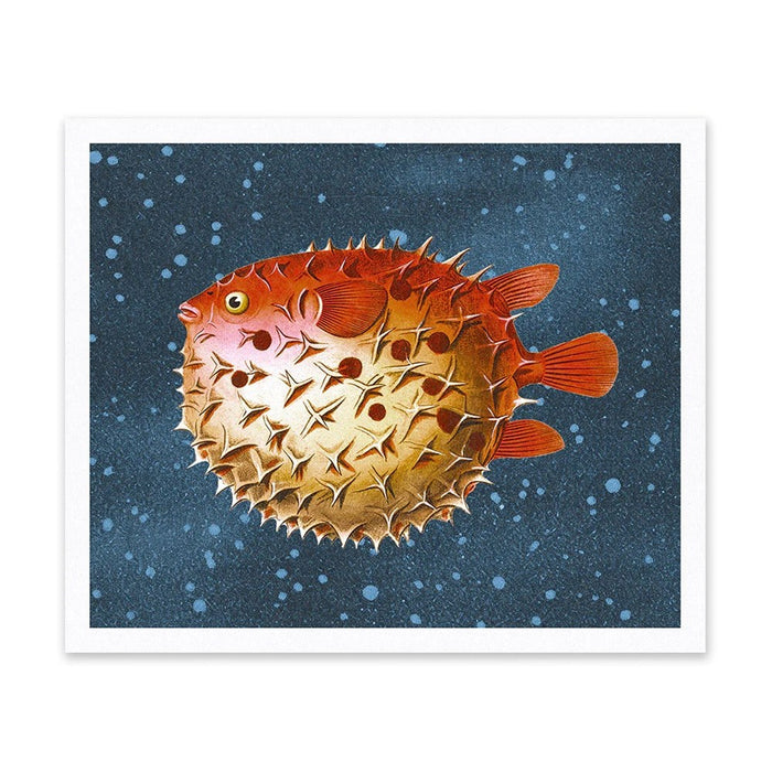 Puffer Fish Art Print