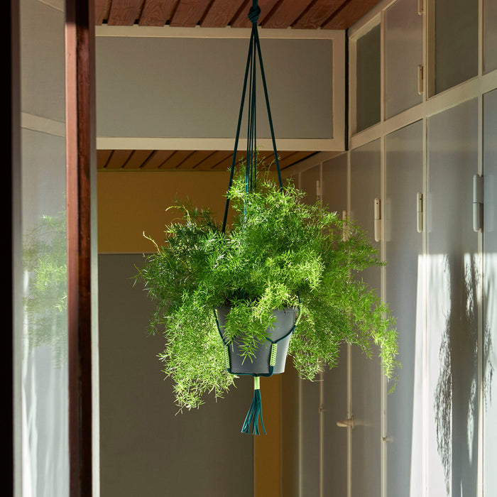 Phanta Plant Hanger - Green