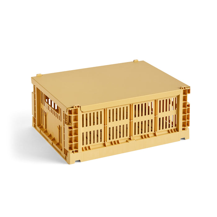 Colour Crate Lid - Medium