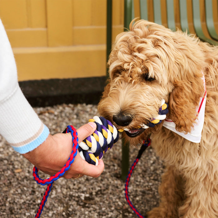 Dog Rope Toy