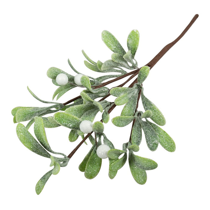 Mistletoe Stem