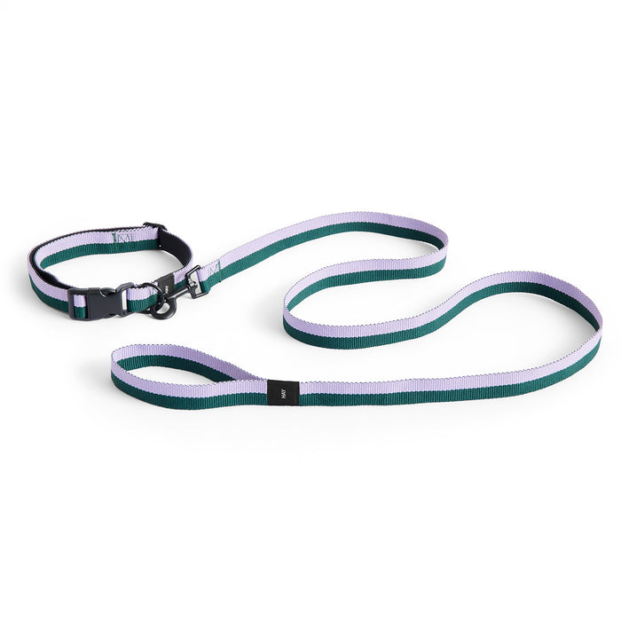 Dog Leash - Flat