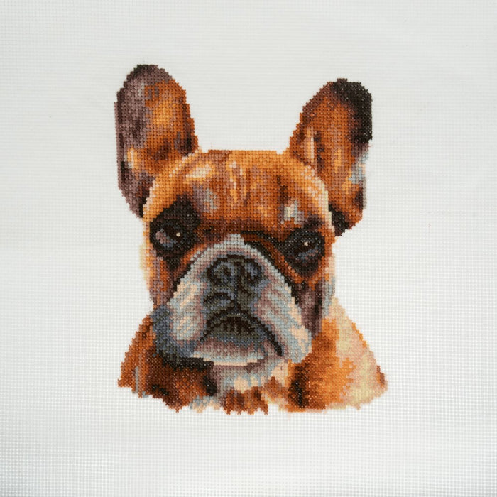 Cross Stitch Kit Large - French Bulldog