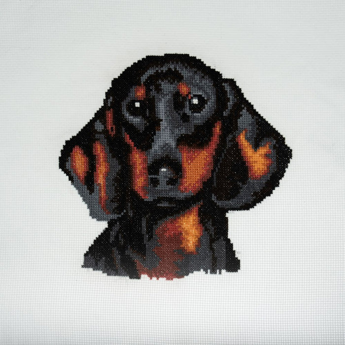 Cross Stitch Kit Large - Dachshund