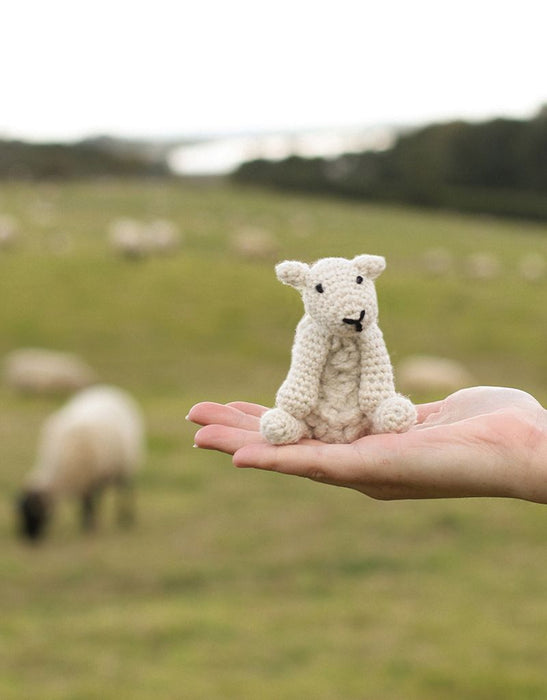 Mini Simon the Sheep Kit