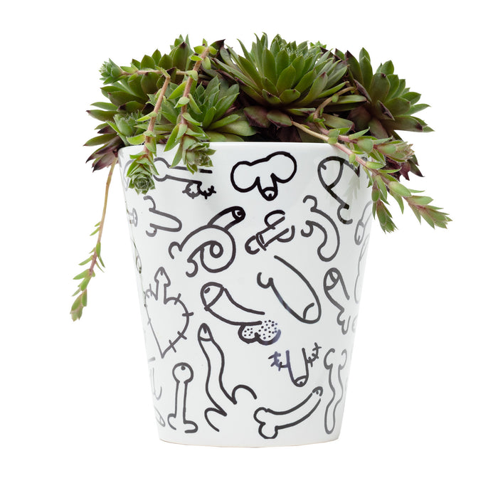 Willy Plant Pot