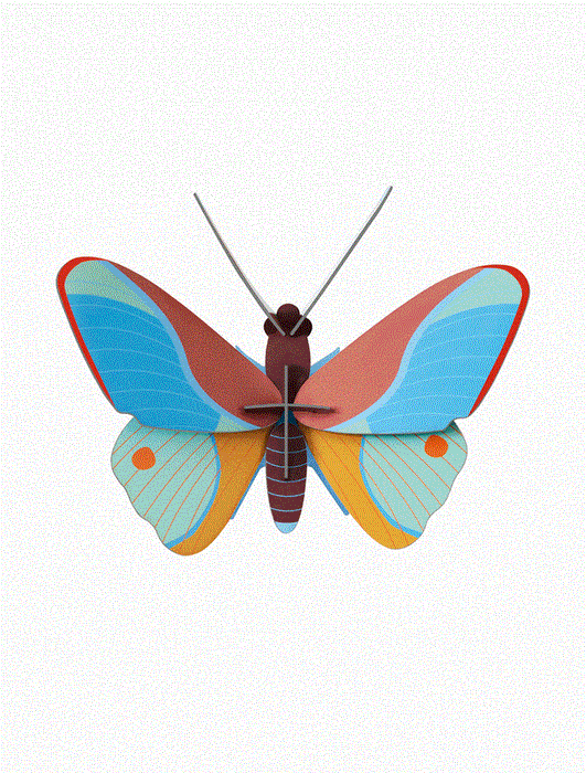 Studio Roof Claudina Butterfly Wall Art