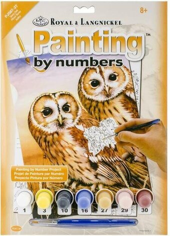 Paint By Numbers Junior Sm Tawny Owls